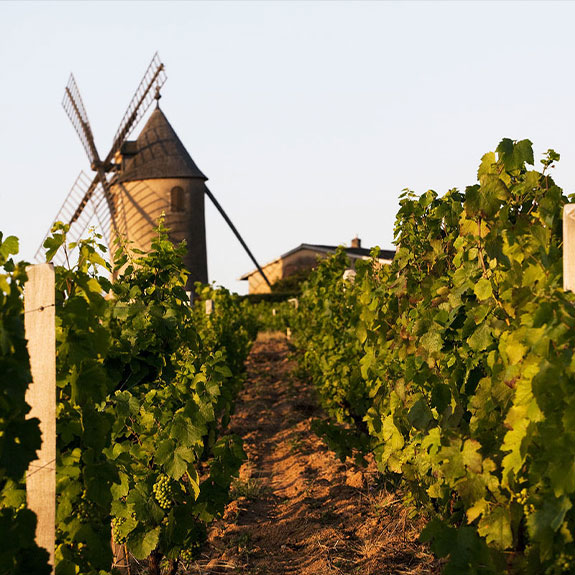 Image Romanèche Thorins, le plein d’activités !